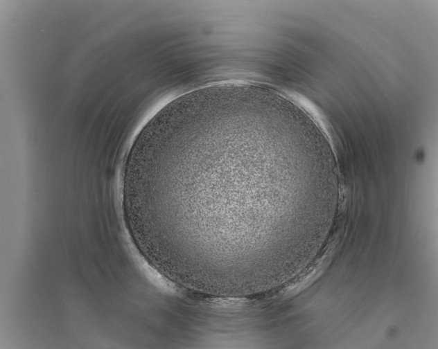 X0000094330859200711091403