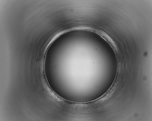 X0000094330860200711091403
