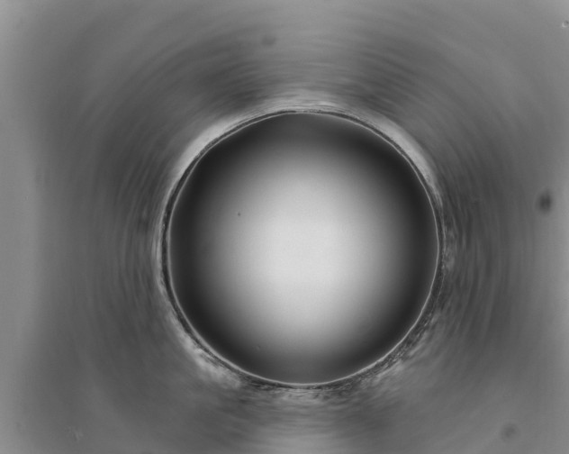 X0000094330861200711091403