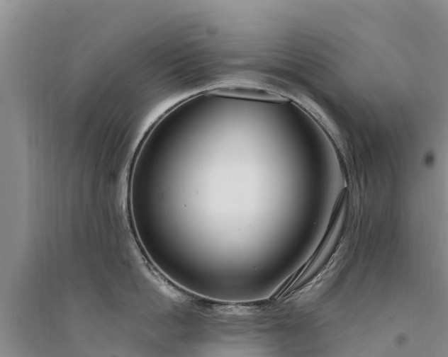 X0000094330862200711091403