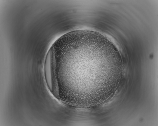 X0000094330863200711091403