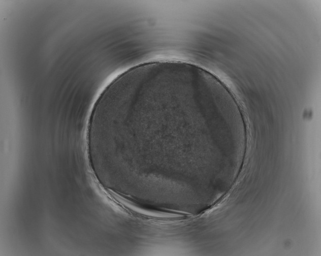 X0000094330864200711091403