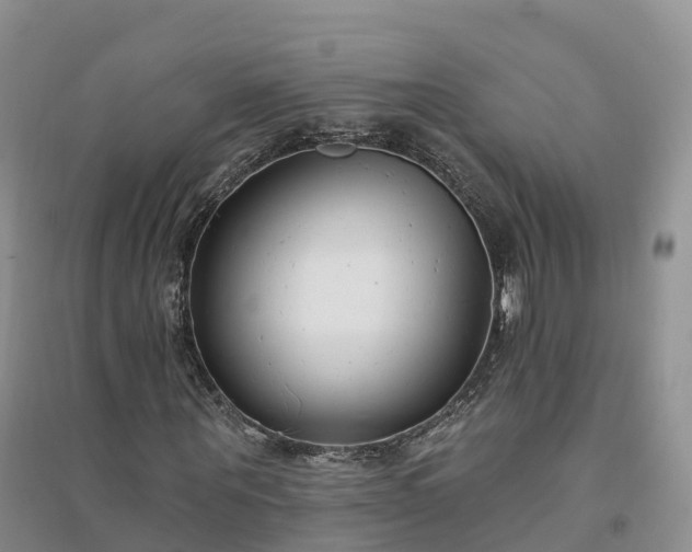 X0000094330867200711091402