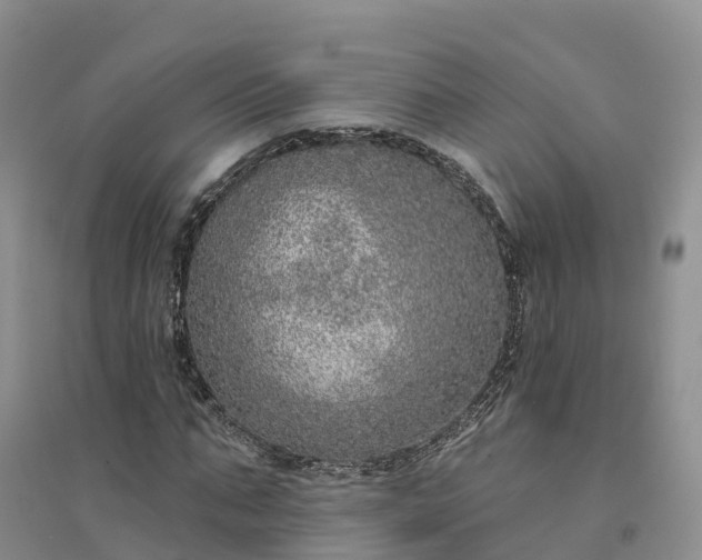 X0000094330871200711091402