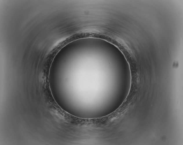 X0000094330872200711091402