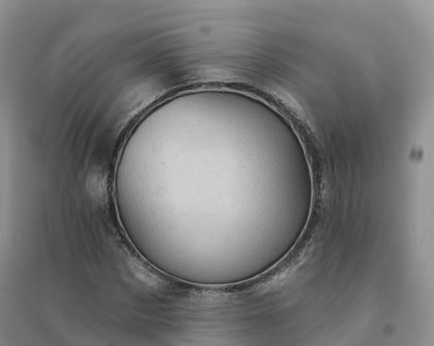 X0000094330873200711091402