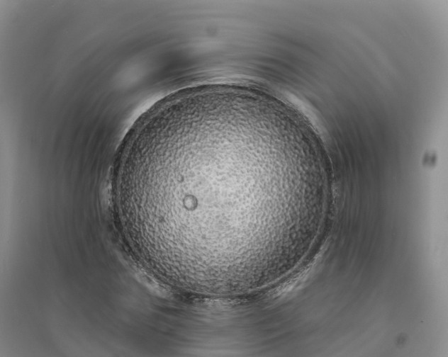 X0000094330875200711091402