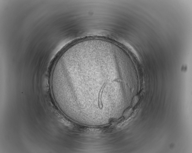 X0000094330878200711091402