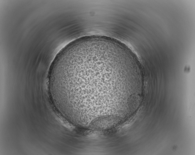 X0000094330879200711091402