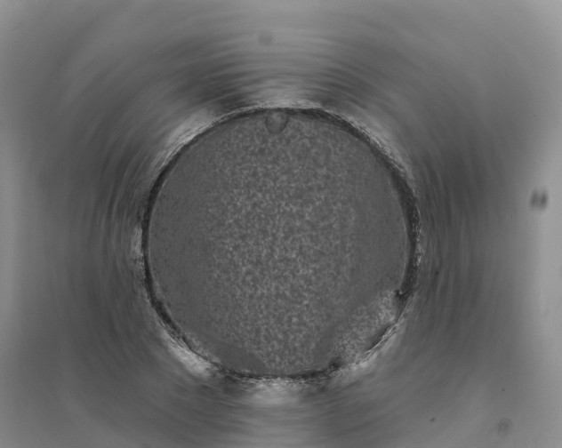 X0000094330881200711091402