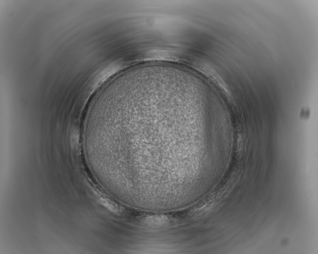 X0000094330882200711091402