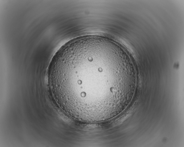 X0000094330883200711091402