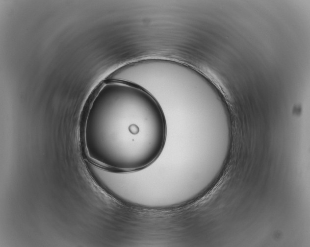 X0000094330884200711091402