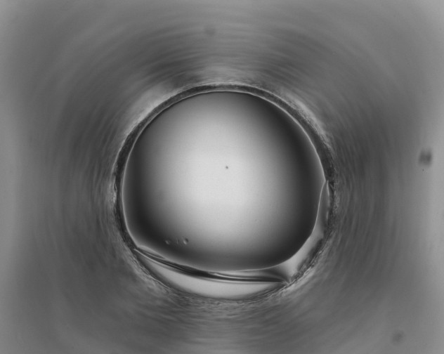 X0000094330885200711091402