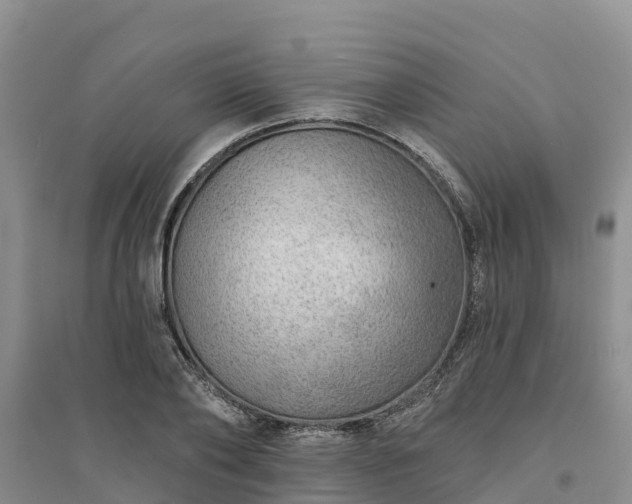 X0000094330886200711091402