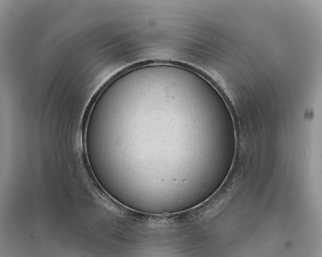 X0000094330887200711091402