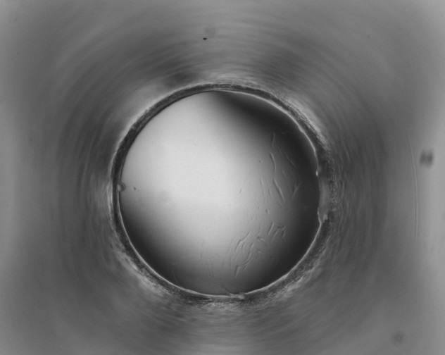 X0000094330888200711091402