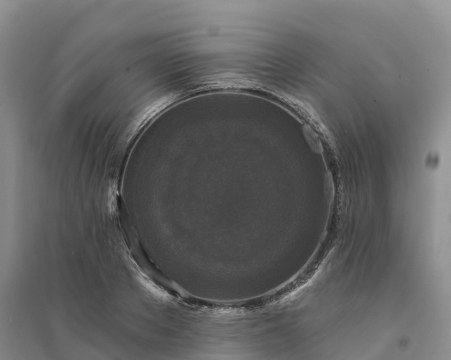 X0000094330889200711091402