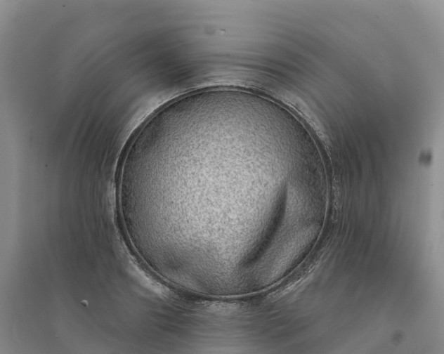 X0000094330890200711091402
