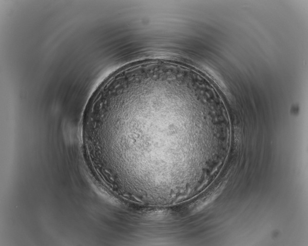 X0000094330891200711091402