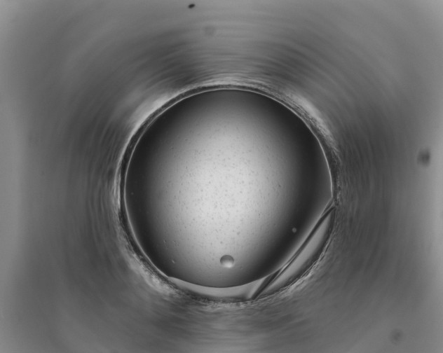 X0000094330892200711091402