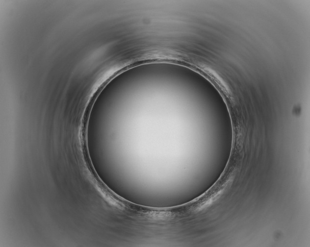 X0000094330893200711091402