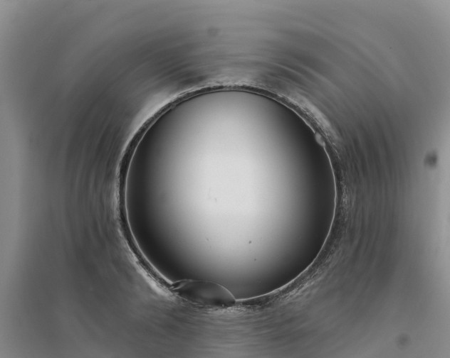 X0000094330894200711091402