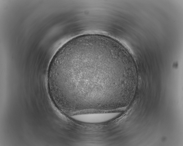 X0000094330895200711091402