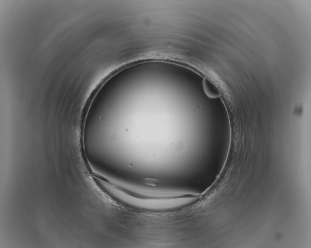 X0000094330896200711091402