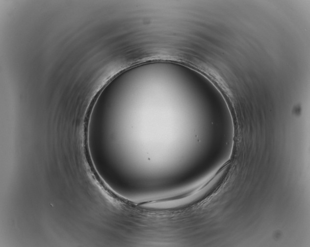 X0000094330898200711091402
