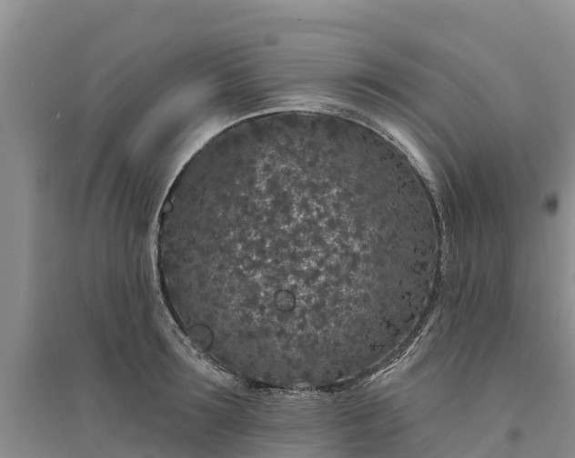 X0000094330899200711091402