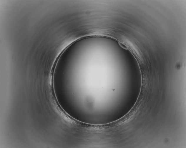 X0000094330900200711091402