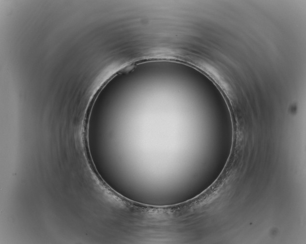 X0000094330901200711091402