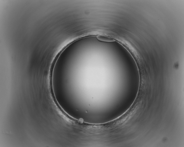 X0000094330902200711091402