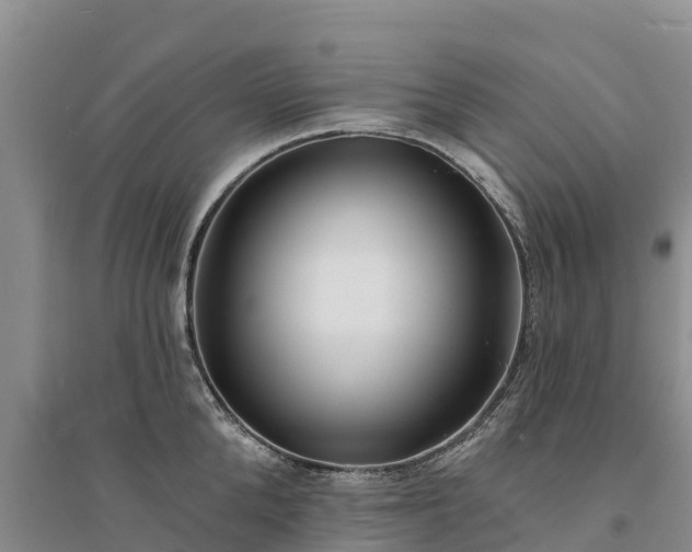 X0000094330904200711091402