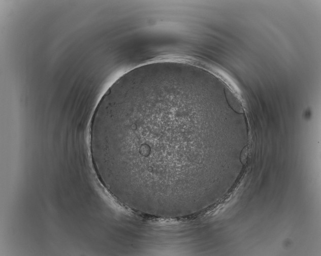 X0000094330907200711091402