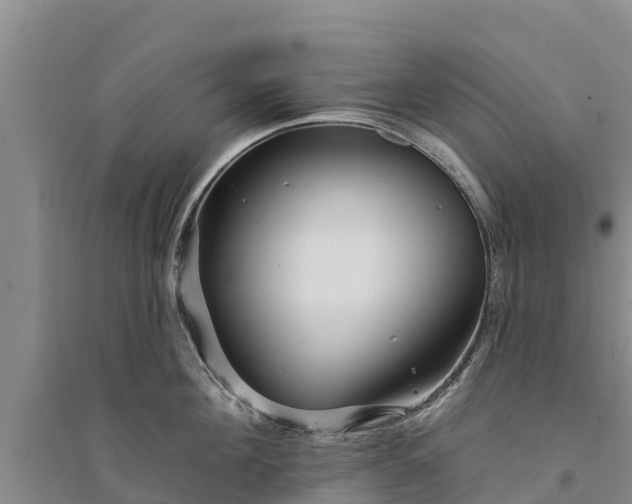 X0000094330908200711091402