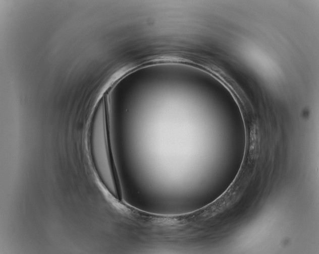 X0000094330909200711091402