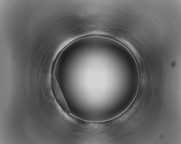 X0000094330910200711091402