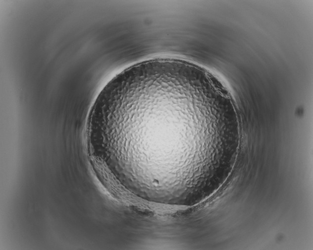 X0000094330911200711091402