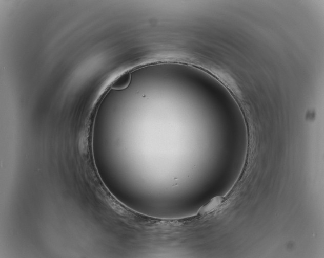 X0000094330912200711091402