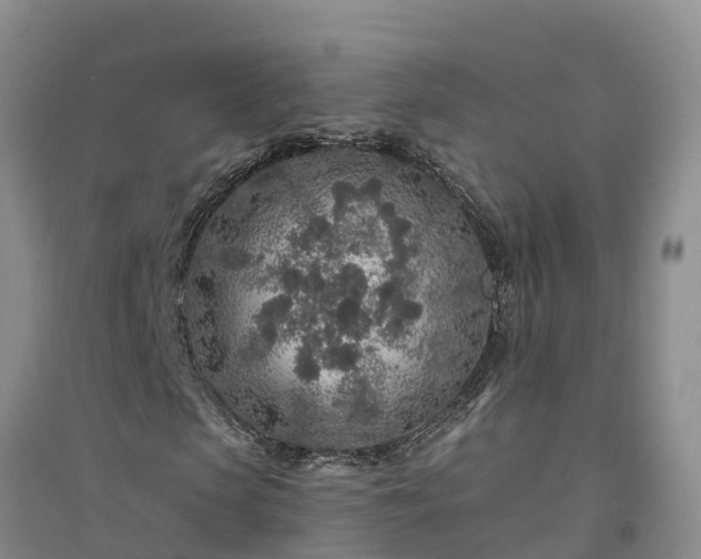 X0000094330913200711091401