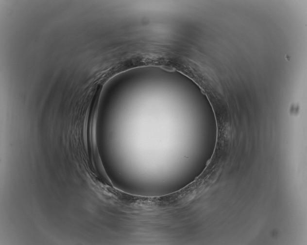 X0000094330914200711091401