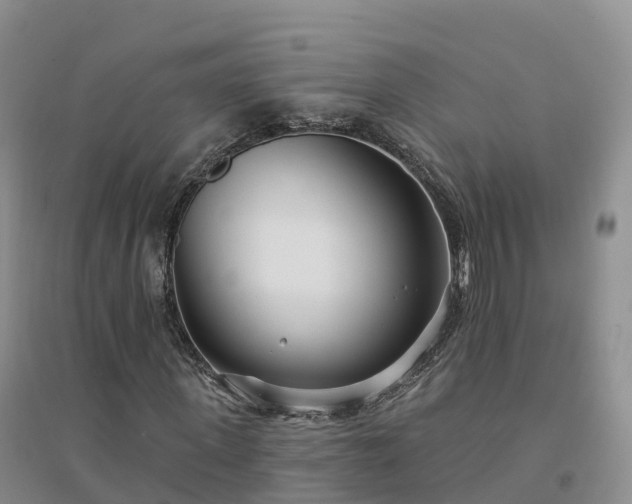 X0000094330915200711091401