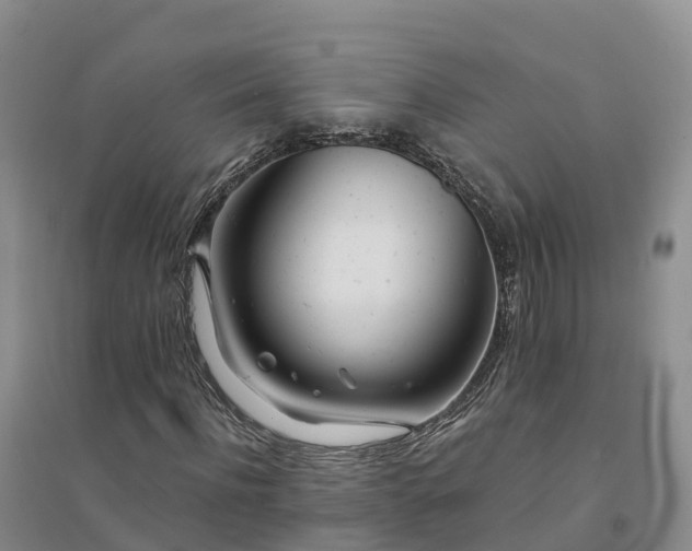 X0000094330916200711091401