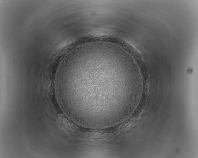 X0000094330917200711091401