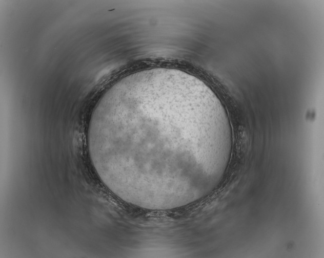 X0000094330918200711091401
