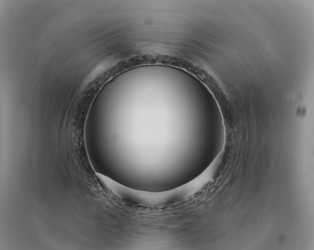 X0000094330919200711091401