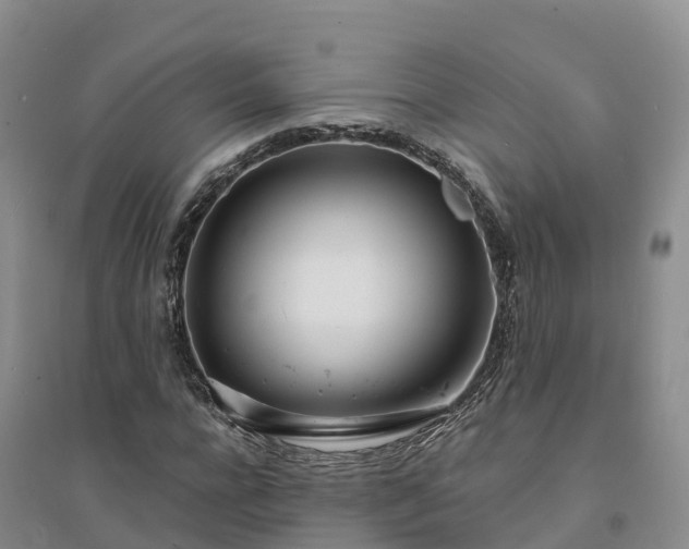 X0000094330920200711091401