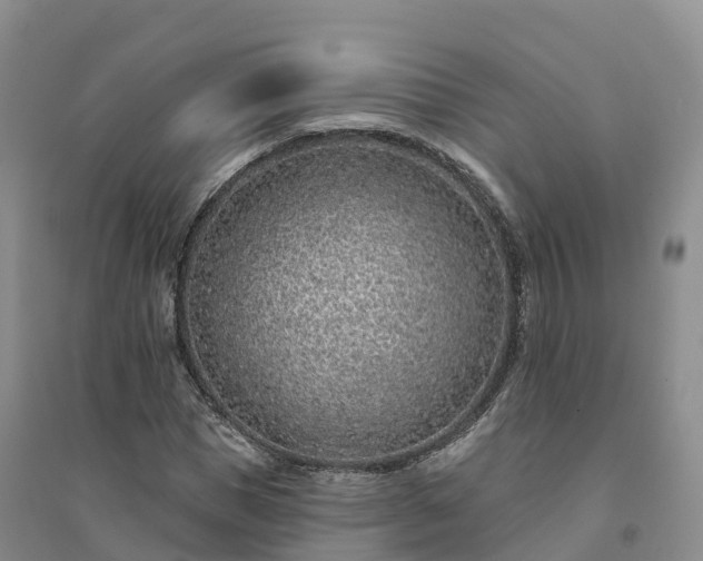 X0000094330921200711091401